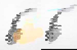 LF 1 BRZ SS 600# SWT FP BV